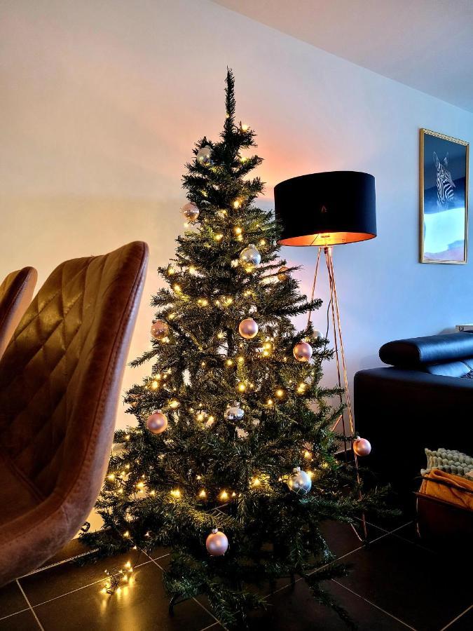 Cosy, Trendy En Zuid Gelegen Ruim Op 100m En Winkelstraat * Nieuwpoort